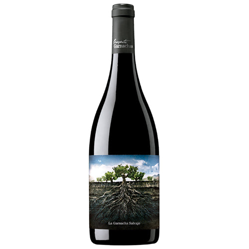 Proyecto La Garnacha Salvaje del Moncayo 2020 - 750ML