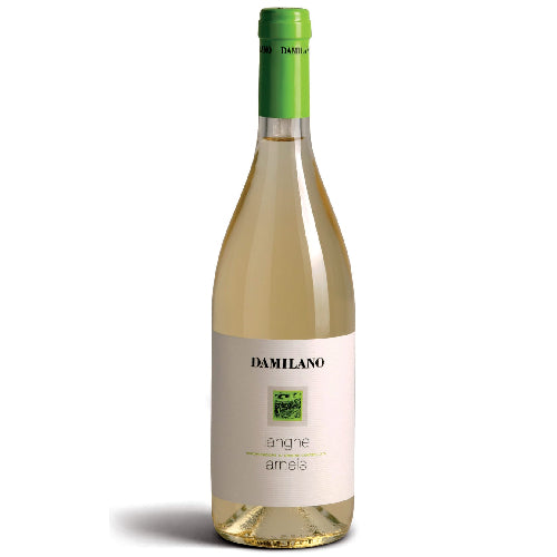 Damilano Arneis 2024 - 750ml